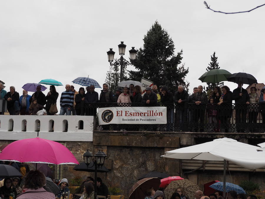 Juan Antonio González Menéndez ha capturado en la zona libre de El Arcu, en el río Sella, el primer salmón de la temporada. Se trata de un ejemplar de más de siete kilos que se subastará en Cangas de Onís.