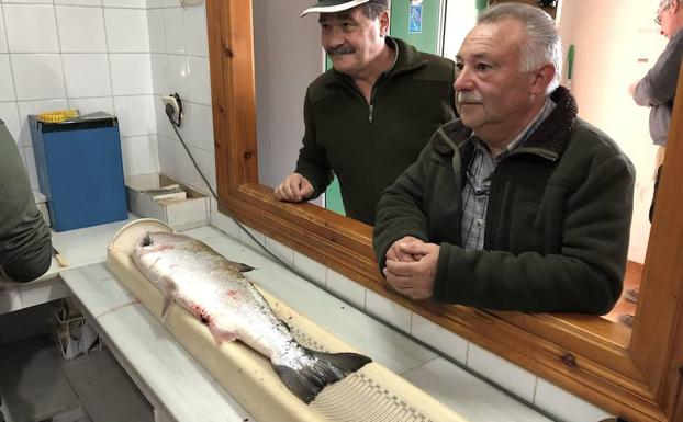 Pesca del salmón en Asturias