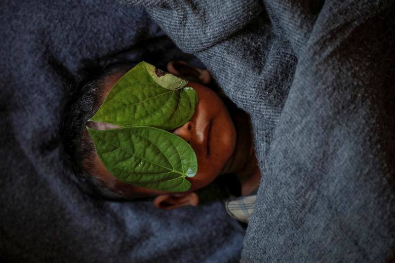 El rostro de un niño de 11 meses se cubre con dos hojas de betel, después de morir luchando contra una fiebre alta y tos en el campo de refugiados de Balukhali cerca de Cox's Bazar (Bangladés) el 4 de diciembre de 2017.