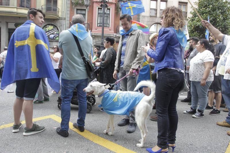 La concentración, celebrada en Oviedo, ha sido apoyada por miles de personas que a grito de «asturianu, llingua oficial» reclaman que la oficialidad sea una realidad 