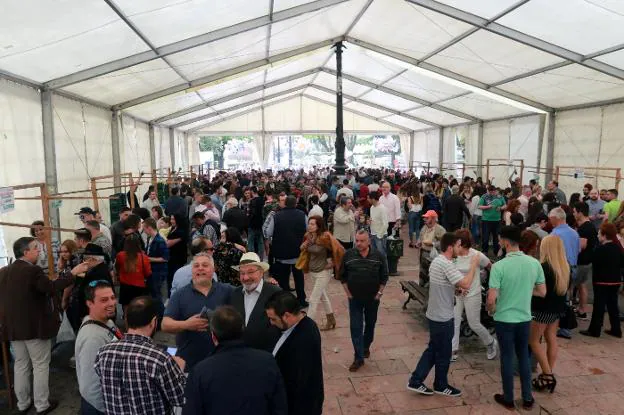 El público abarrotó durante la mañana la carpa donde se celebró la degustación gratuita, en el parque viejo de La Felguera. 