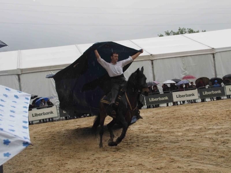 La magia de los caballos ha conquistado a decenas de personas en Infiesto. El espectáculo ecuestre es una de las principales actividades de la Feria de Abril que se celebra en la villa piloñesa este puente del Primero de Mayo.