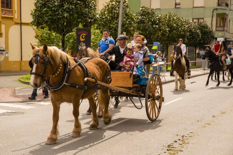 Infiesto ha vivido hoy uno de los días más especiales de su Feria de Abril con un desfile y una misa en el Santuario de la Virgen de la Cueva. Los vestidos de sevillana y los trajes de corto han puesto colores a una jornada en la que los caballos también han sido protagonistas. 