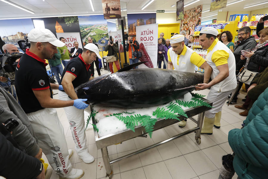 La tienda Alimerka situada en los bajos de El Molinón fue la encargada de traer a Asturias este ejemplar pescado en almadraba, un sistema artesanal y sostenible.