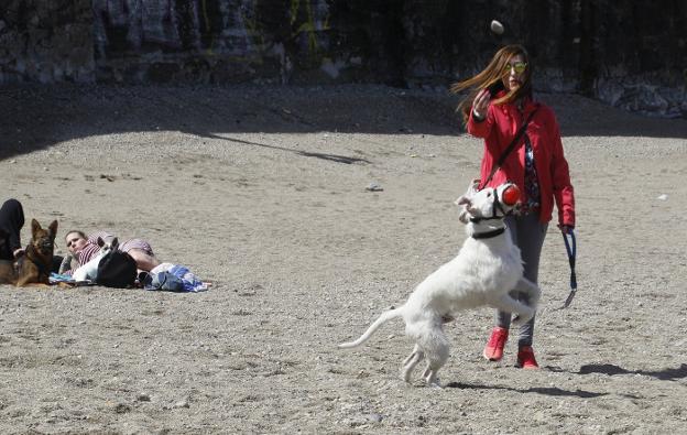 La gijonesa Luz Rodríguez y su perro 'Capo' juegan en El Rinconín. 