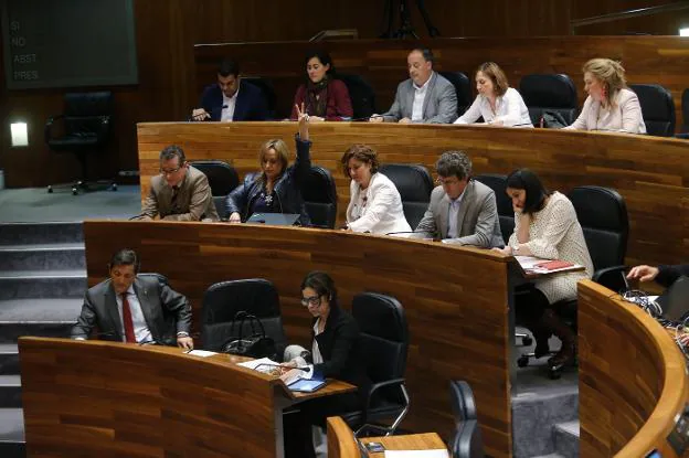 El grupo parlamentario socialista, con Javier Fernández a la cabeza, ayer, en el Pleno. 