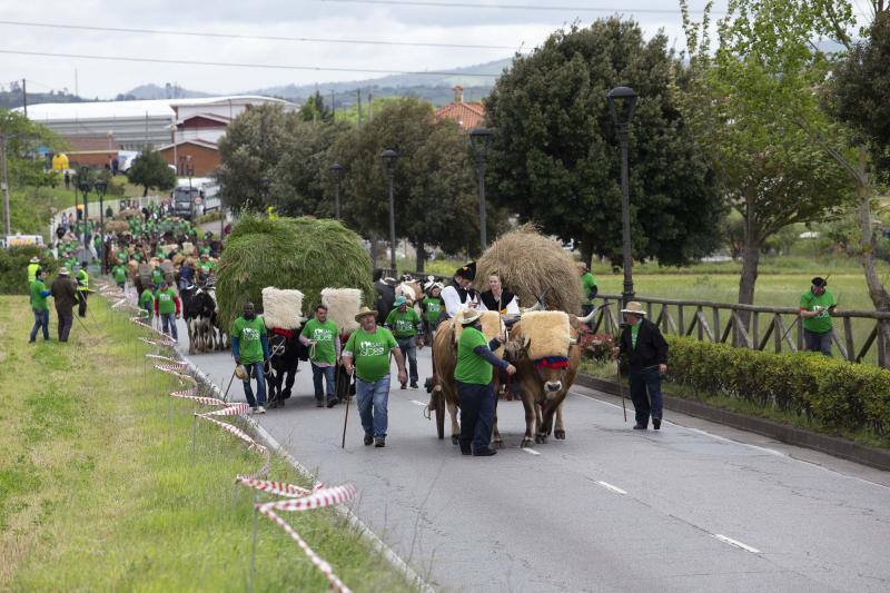 Seis mil animales llenaron el recinto de Ables, con operadores de España y Francia