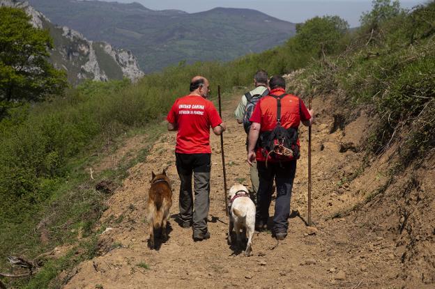 La unidad canina inicia el recorrido en el monte.
