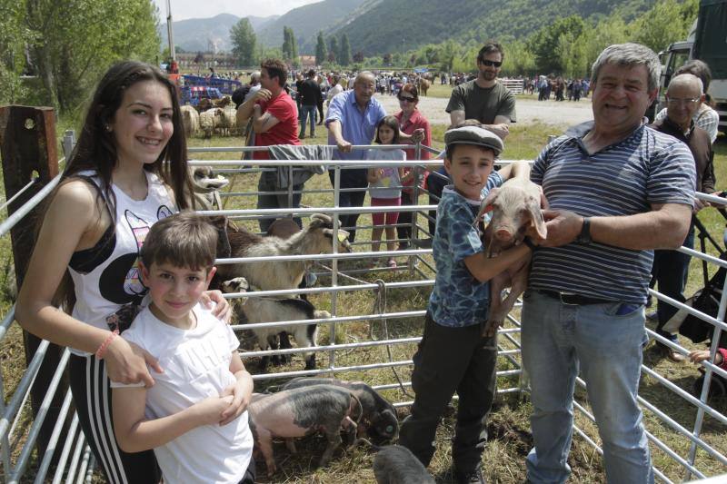 Fotos: La Ascensión celebra su mercado de ganado en Olloniego