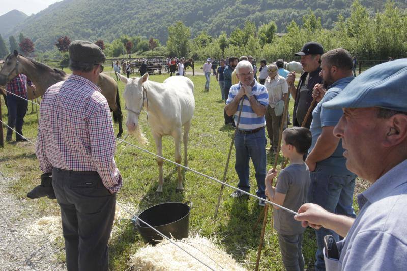 Fotos: La Ascensión celebra su mercado de ganado en Olloniego