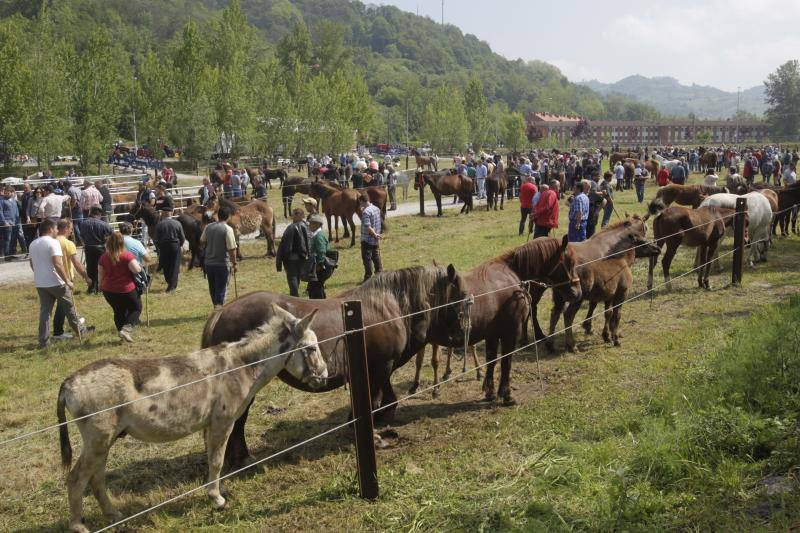 Fotos: La Ascensión celebra su mercado de ganado en Olloniego