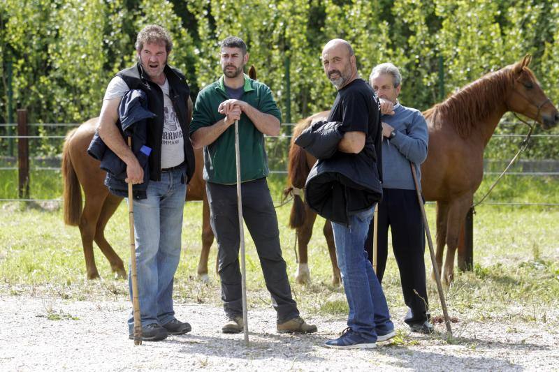 Fotos: La Ascensión celebra su mercado de ganado en Olloniego