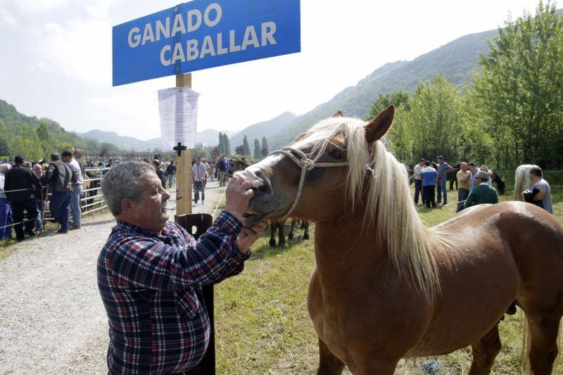 Fotos: La Ascensión celebra su mercado de ganado en Olloniego