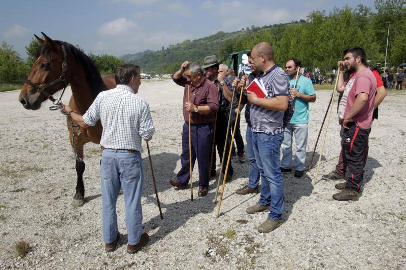 Fotos: La Ascensión celebra su mercado de ganado en Olloniego