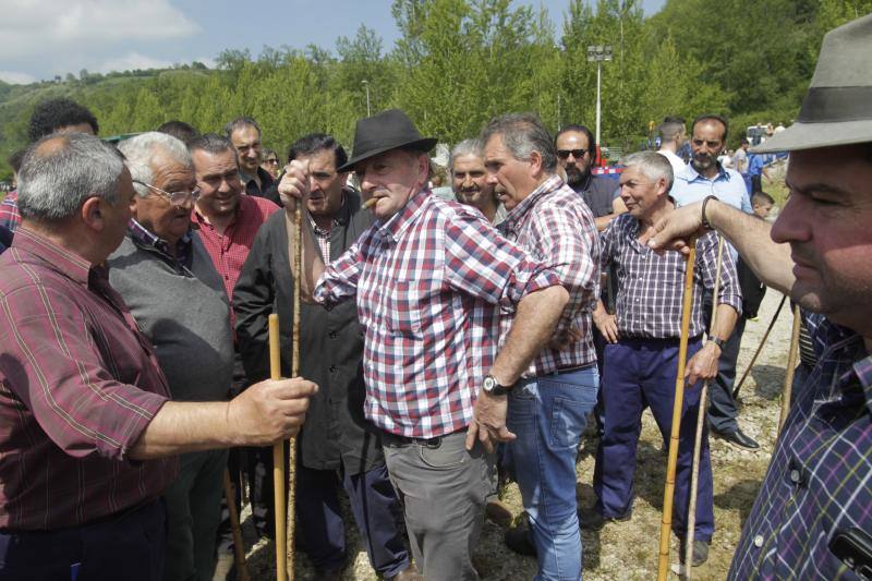 Fotos: La Ascensión celebra su mercado de ganado en Olloniego