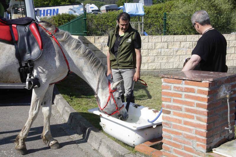 Más de sesenta jinetes participaron en la concentración ecuestre de El Peral.