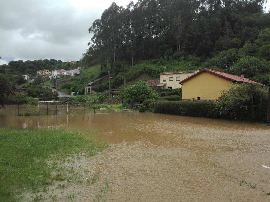 Las intensas lluvias han provocado inundaciones y argayos en varios puntos del centro de Asturias, sobre todo, en los concejos de Gijón y Villaviciosa. No obstante, en concejos como Langreo o Degaña también se han registrado desperfectos.