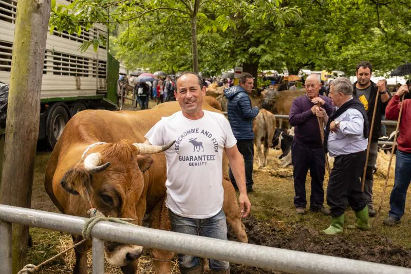 Éxito de la feria de Corao. Centenares de personas desafiaron el mal tiempo y disfrutaron del tracional certamen ganadero, que finalizó con un buen balance de operaciones.