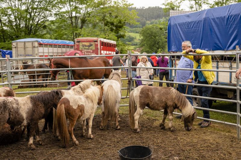 Éxito de la feria de Corao. Centenares de personas desafiaron el mal tiempo y disfrutaron del tracional certamen ganadero, que finalizó con un buen balance de operaciones.