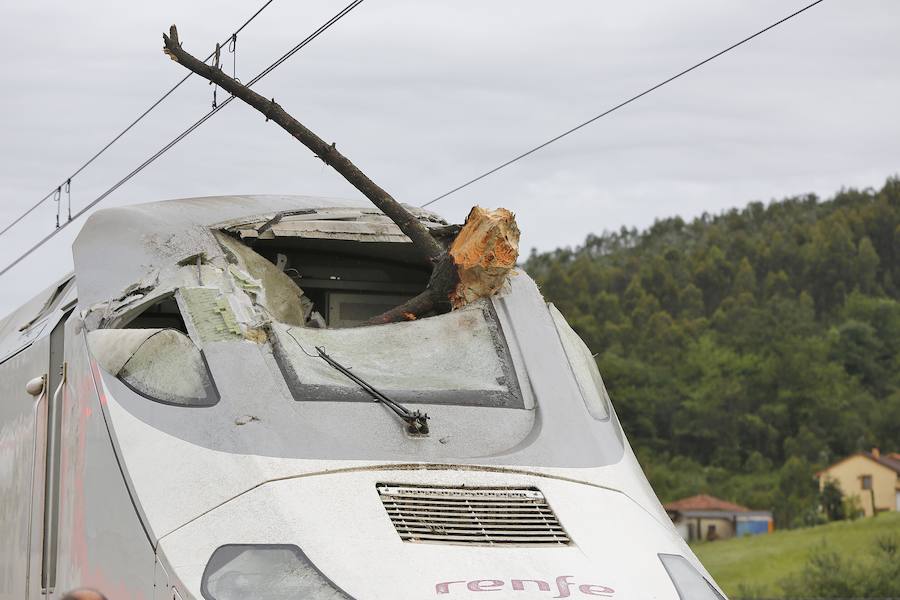 Las ramas entraron en la cabina e hirieron al conductor del tren, que cubría la ruta Madrid-Gijón y transportaba a 97 personas