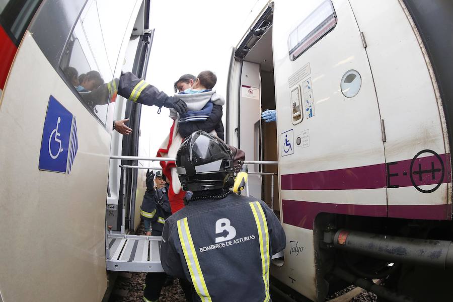 Las ramas entraron en la cabina e hirieron al conductor del tren, que cubría la ruta Madrid-Gijón y transportaba a 97 personas