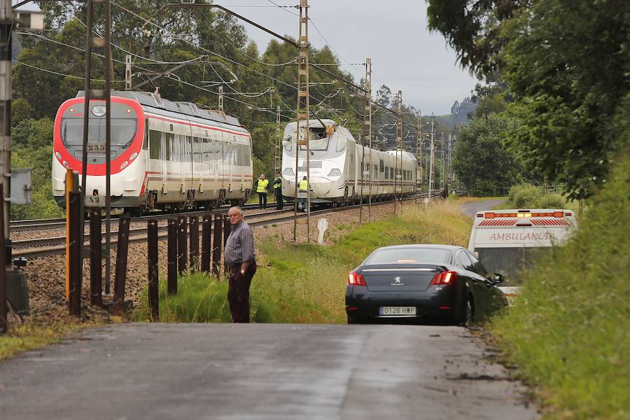 Las ramas entraron en la cabina e hirieron al conductor del tren, que cubría la ruta Madrid-Gijón y transportaba a 97 personas