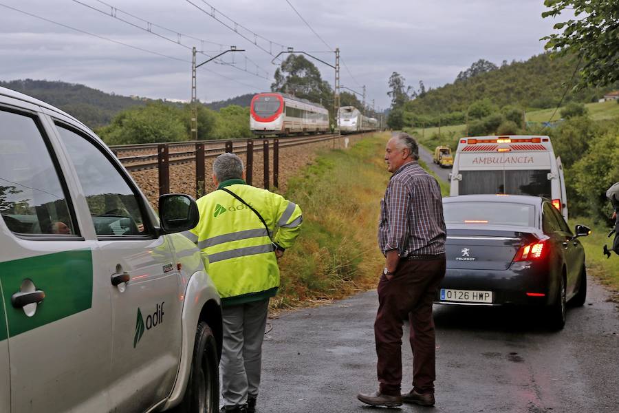 Las ramas entraron en la cabina e hirieron al conductor del tren, que cubría la ruta Madrid-Gijón y transportaba a 97 personas