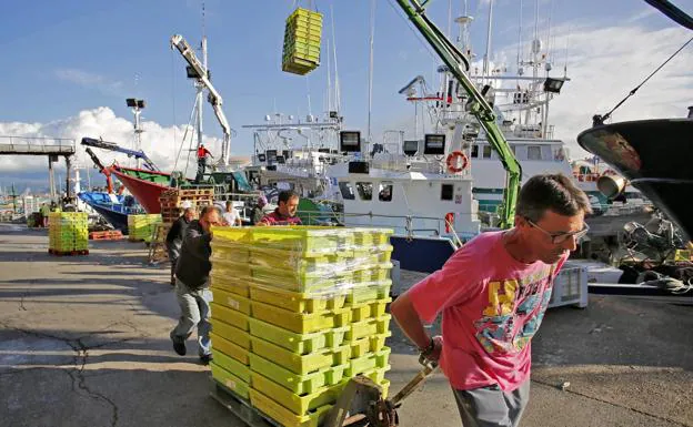 Imagen. Los pescadores arrastran las cajas apiladas con miles de kilos de peces, en una jornada memorable.