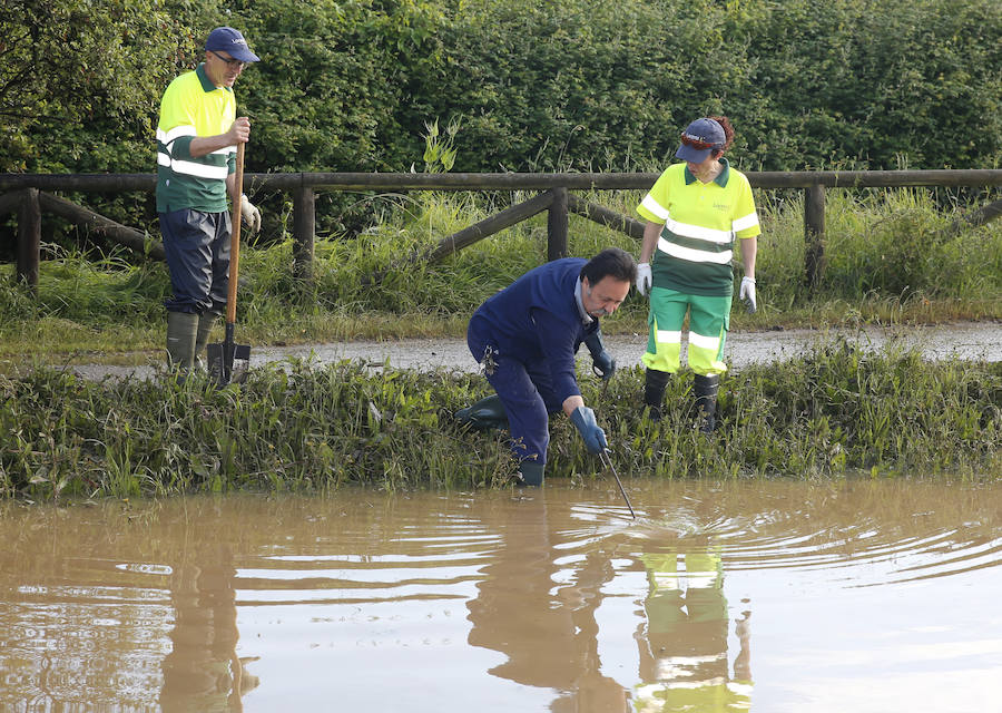 Han resultado afectados laboratorios, la cafetería y numerosas zonas comunes del centro de la Universidad de Oviedo