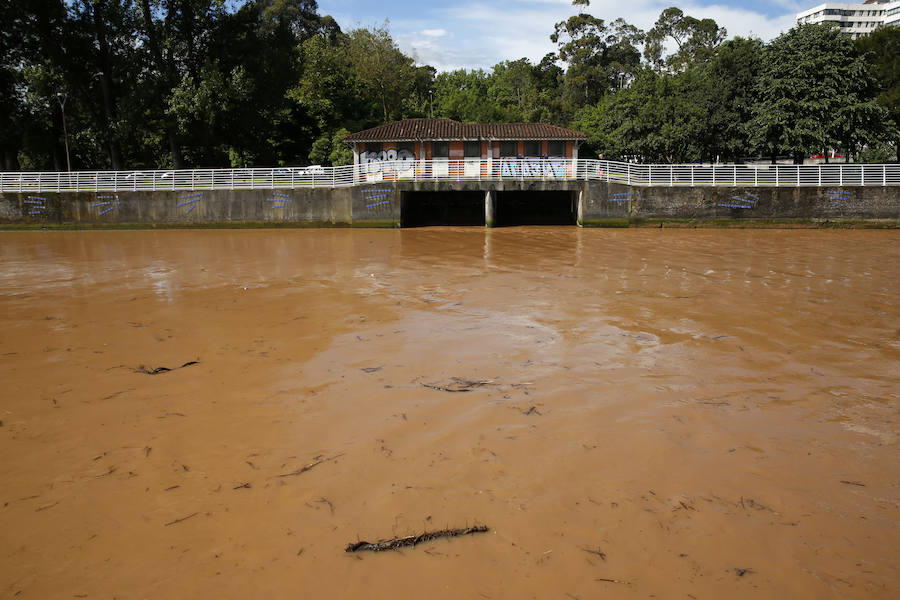 La Comisión de Seguimiento de la Playa ha cerrado la playa al baño nuevamente tras las lluvias caídas en la noche y la aparición de suciedad en el arenal esta mañana.