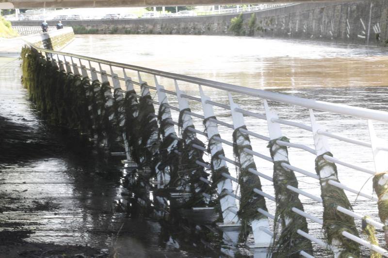 Fotos: Los efectos de las inundaciones en el río Piles