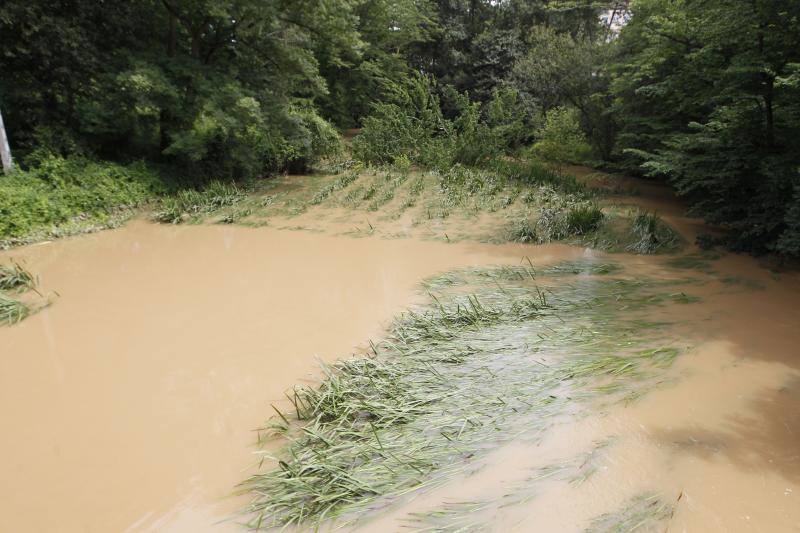 Fotos: Los efectos de las inundaciones en el río Piles