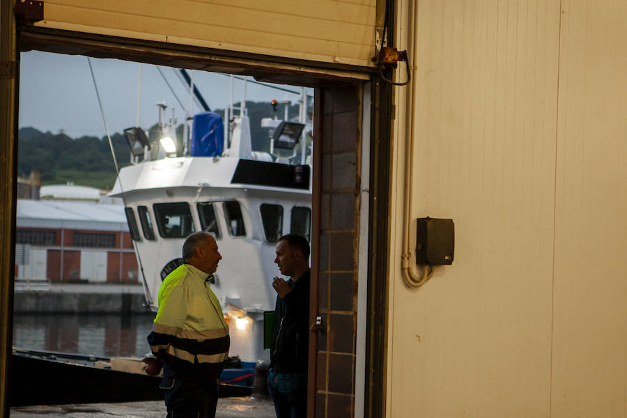 El primer bonito de la temorada subastado en EL Musel alcanzó el precio de 16,97 euros el kilo. En total fueron rulados 5.300 kilos del túnido