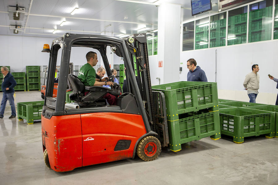 El primer bonito de la temorada subastado en EL Musel alcanzó el precio de 16,97 euros el kilo. En total fueron rulados 5.300 kilos del túnido