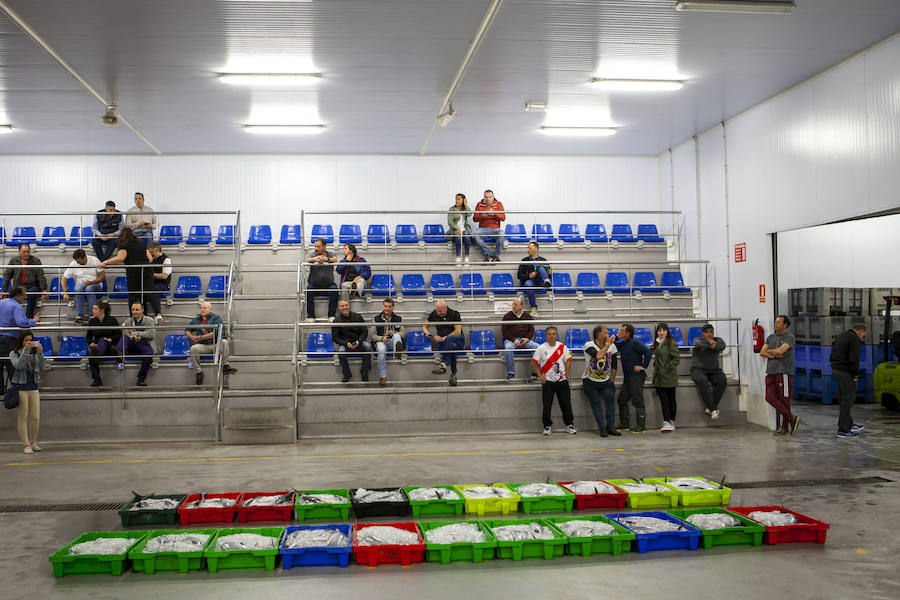 El primer bonito de la temorada subastado en EL Musel alcanzó el precio de 16,97 euros el kilo. En total fueron rulados 5.300 kilos del túnido