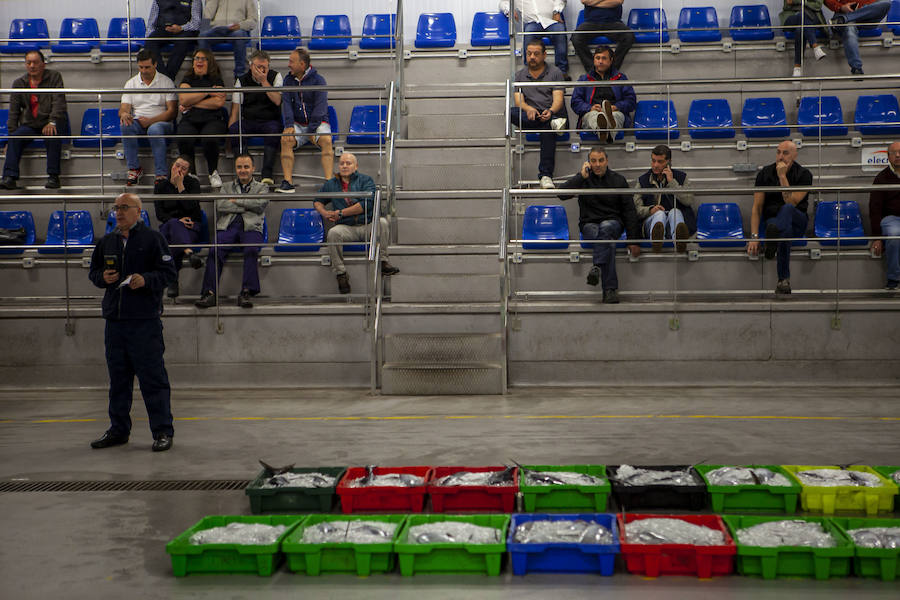 El primer bonito de la temorada subastado en EL Musel alcanzó el precio de 16,97 euros el kilo. En total fueron rulados 5.300 kilos del túnido