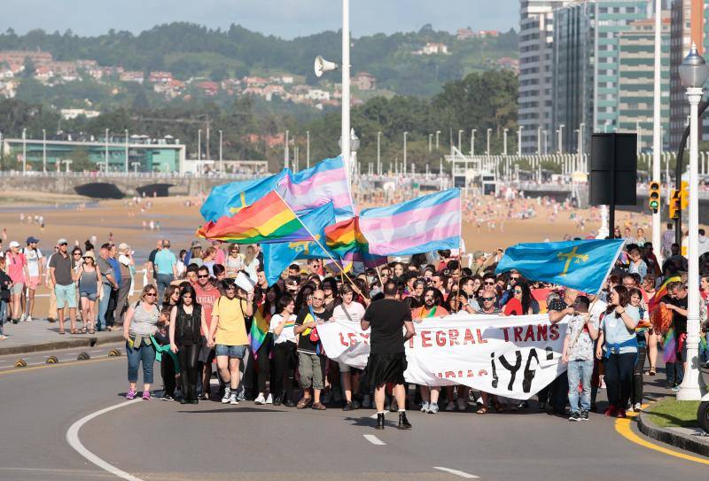 La manifestación del Orgullo, que reunió a cientos de personas, reclamó la urgente tramitación de una ley para proteger a las personas transexuales