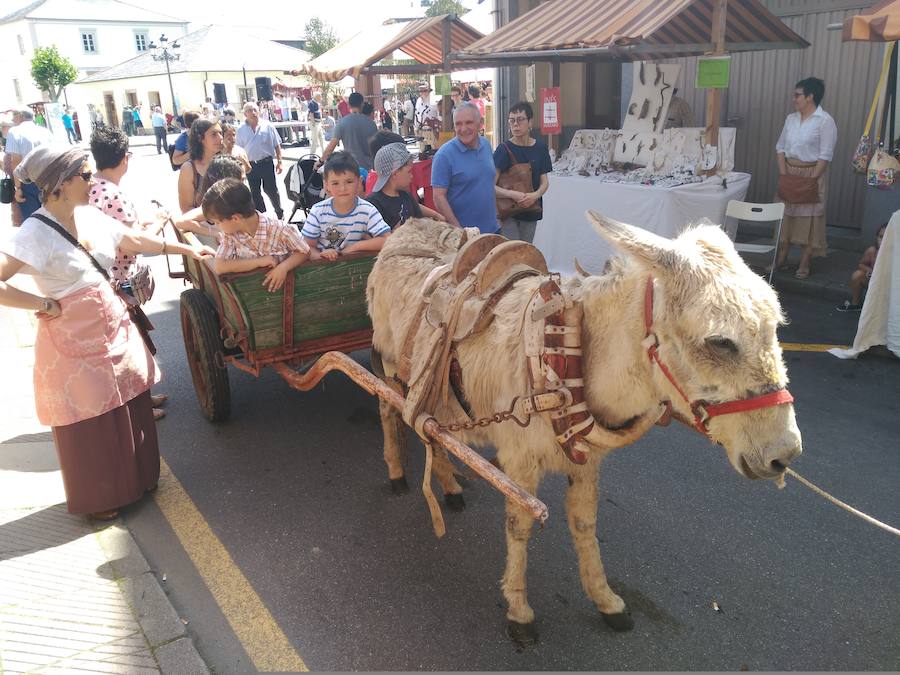 Fotos: XIII Domingo de Mercado en Boal