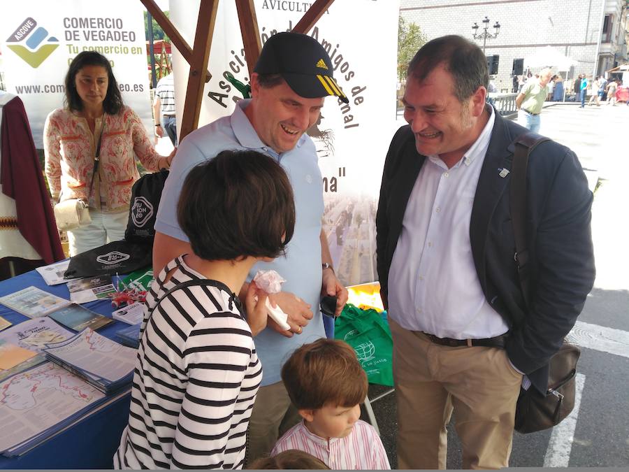 Fotos: XIII Domingo de Mercado en Boal