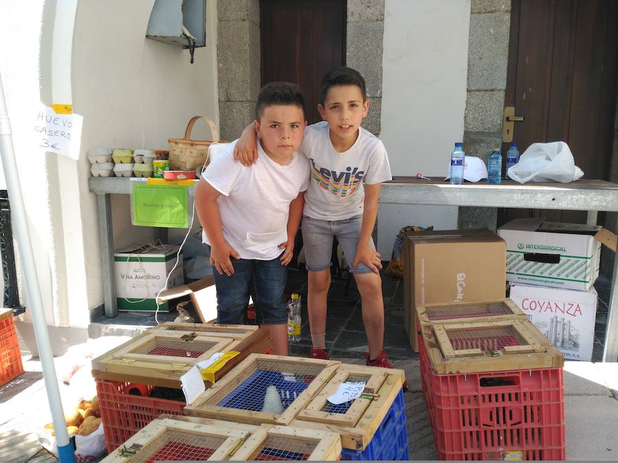 Fotos: XIII Domingo de Mercado en Boal