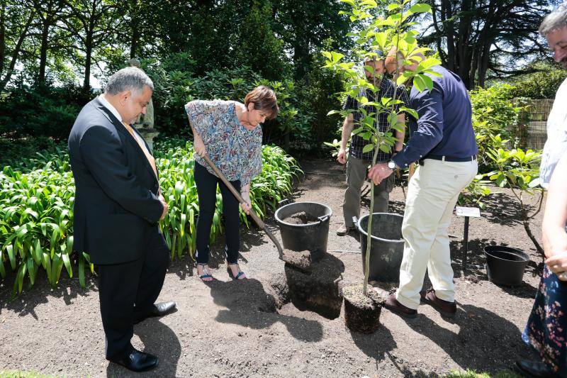 Visitas guiadas, una divetida yincana, talleres, charlas y presentaciones o música en directo fueron algunas de las actividades realizadas durante la jornada dominical