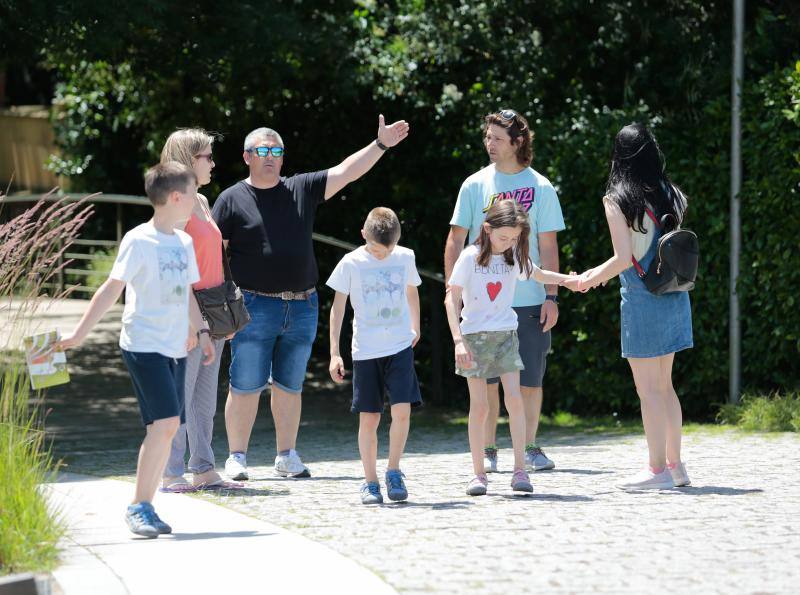 Visitas guiadas, una divetida yincana, talleres, charlas y presentaciones o música en directo fueron algunas de las actividades realizadas durante la jornada dominical