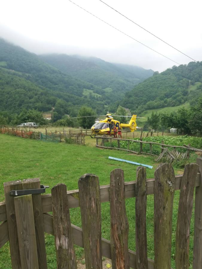 Fotos: Un argayo de grandes dimensiones obliga a desalojar La Cortina, en Lena