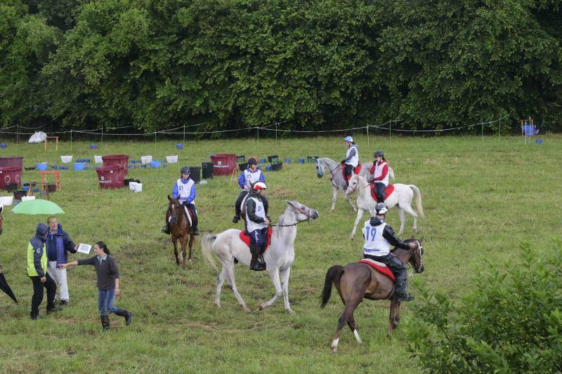 Medio centenar de binomios participaron en esta cita de la localidad ribadedense.