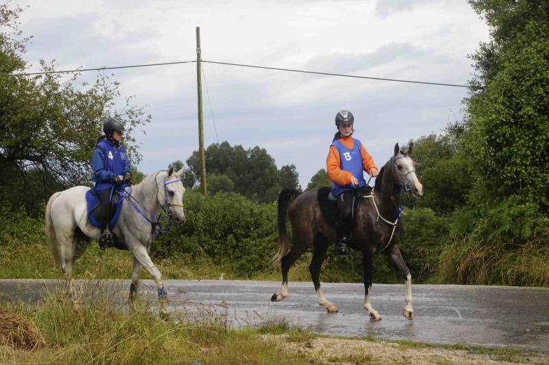 Medio centenar de binomios participaron en esta cita de la localidad ribadedense.