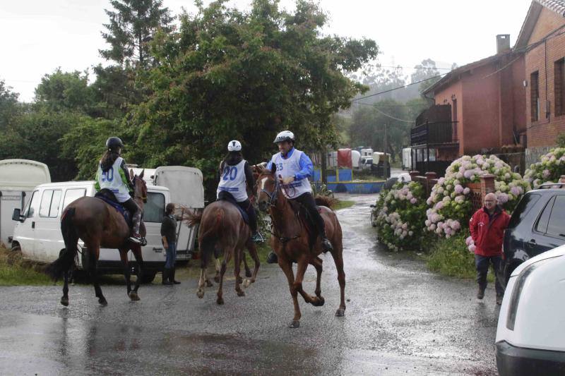 Medio centenar de binomios participaron en esta cita de la localidad ribadedense.