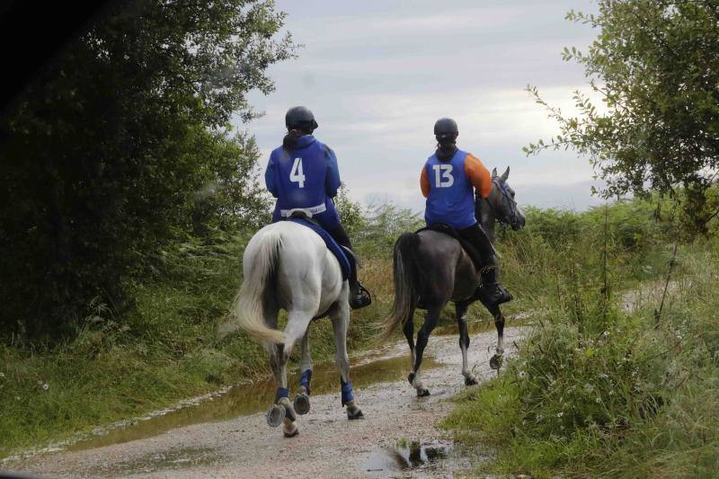 Medio centenar de binomios participaron en esta cita de la localidad ribadedense.