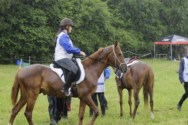 Medio centenar de binomios participaron en esta cita de la localidad ribadedense.