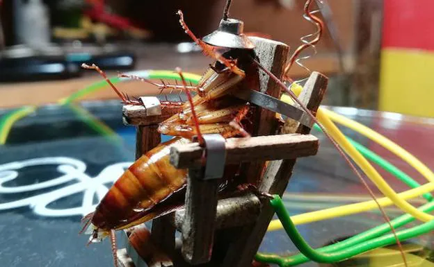 Ejecuta a una cucaracha en una silla eléctrica a medida e incendia las redes