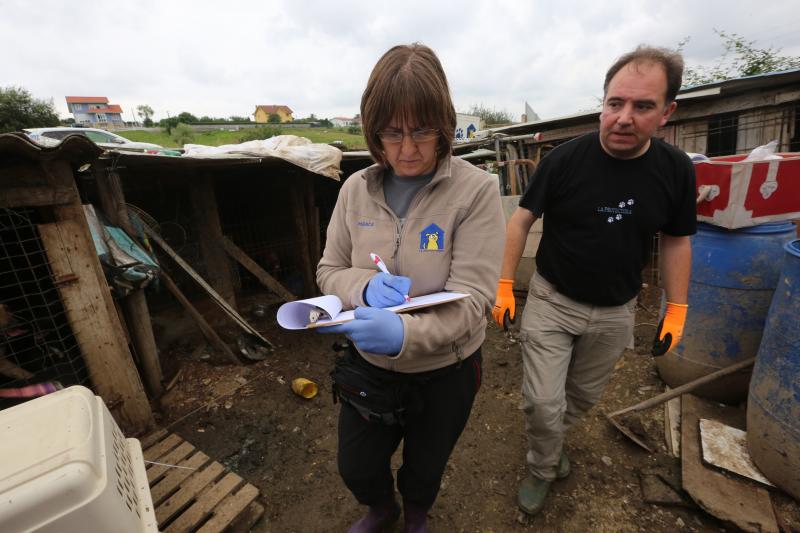 La Policía Local de Avilés desaloja una finca de La Luz en la que estaban hacinados 147 perros